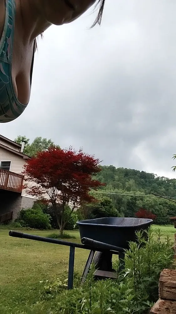 Custom yard cleanup service in Ellwood City, PA by Kangaroo Paws