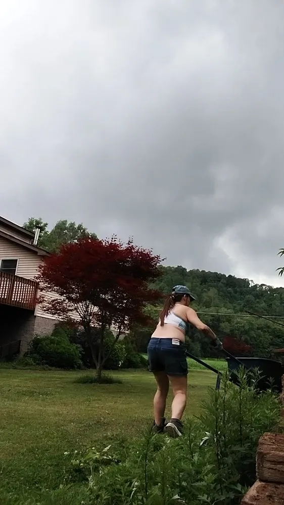 Custom landscape installation in Ellwood City, PA by Kangaroo Paws