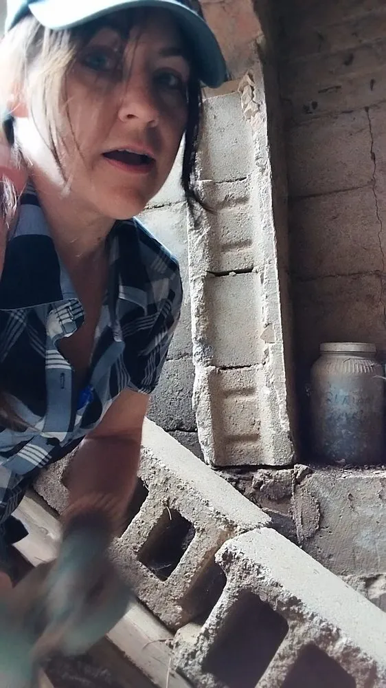 Custom outdoor landscaping experts serving Ellwood City, PA - Kangaroo Paws