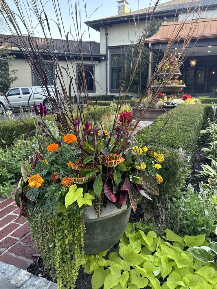 Expert yard maintenance in Mission Hills, KS - Kansas City Clippers