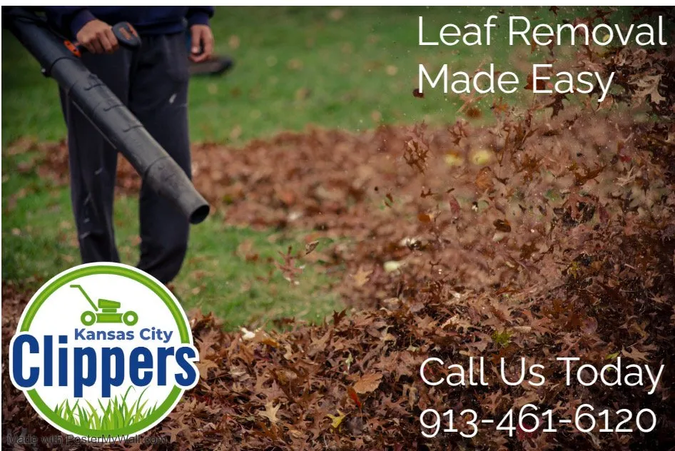 Top-rated landscape design for residential properties across Mission Hills, KS - Kansas City Clippers