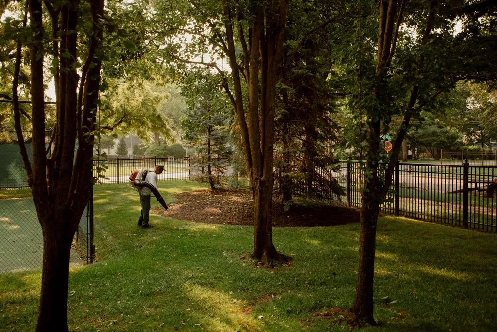 Affordable yard cleanup service in Mission Hills, KS - Kansas City Clippers