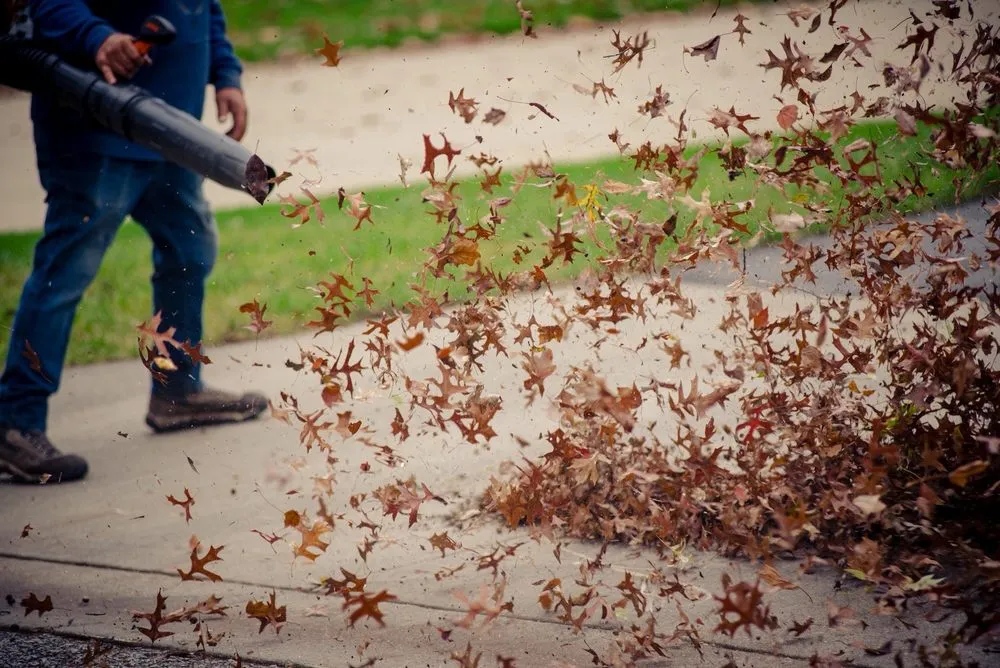 Expert landscape design for year-round maintenance in Mission Hills, KS by Kansas City Clippers