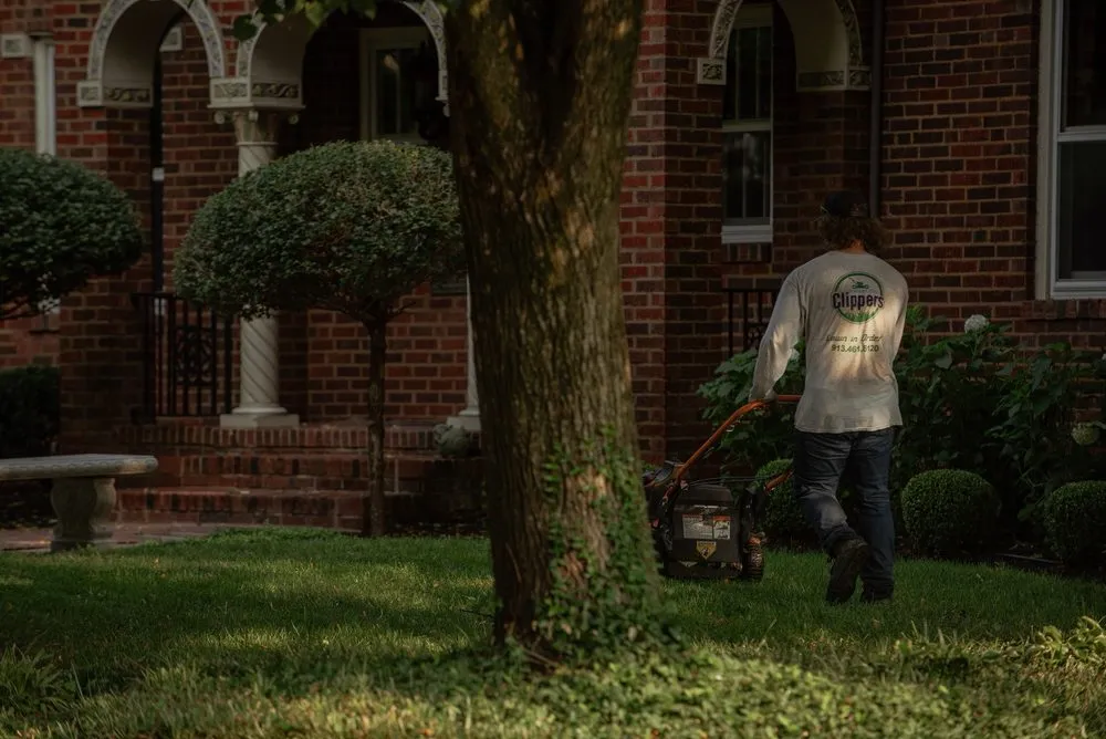 Trusted yard cleanup service for beautiful yards in Mission Hills, KS by Kansas City Clippers