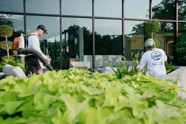 Kansas City Clippers