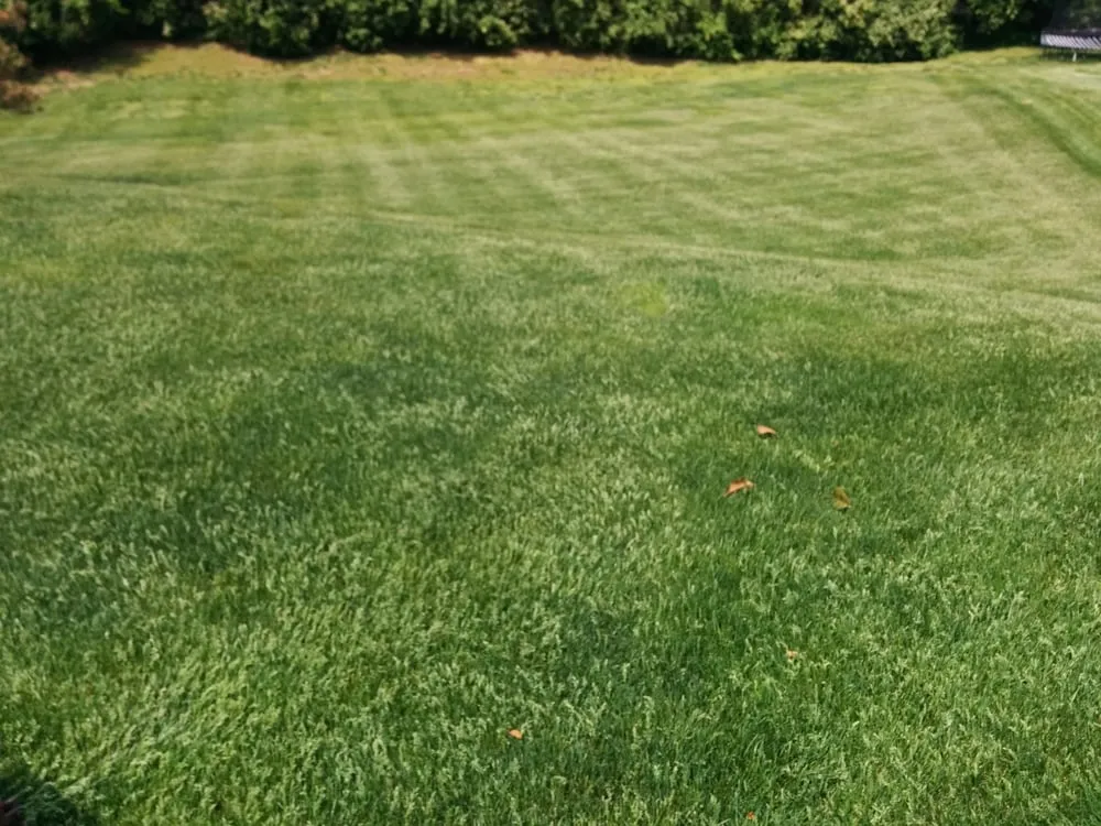 Reliable yard cleanup service near you across Kansas City, MO - Kansas City Lawn Care