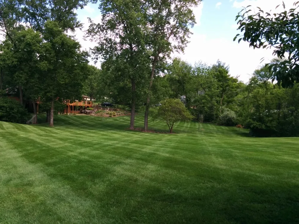 Trusted lawn mowing service in Kansas City, MO - Kansas City Lawn Care