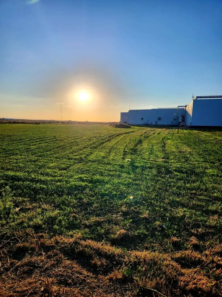 Trusted landscaping services in Garden City, KS by Kansas Lawns