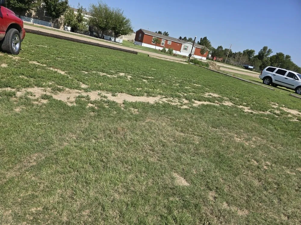 Custom yard maintenance in Garden City, KS - Kansas Lawns