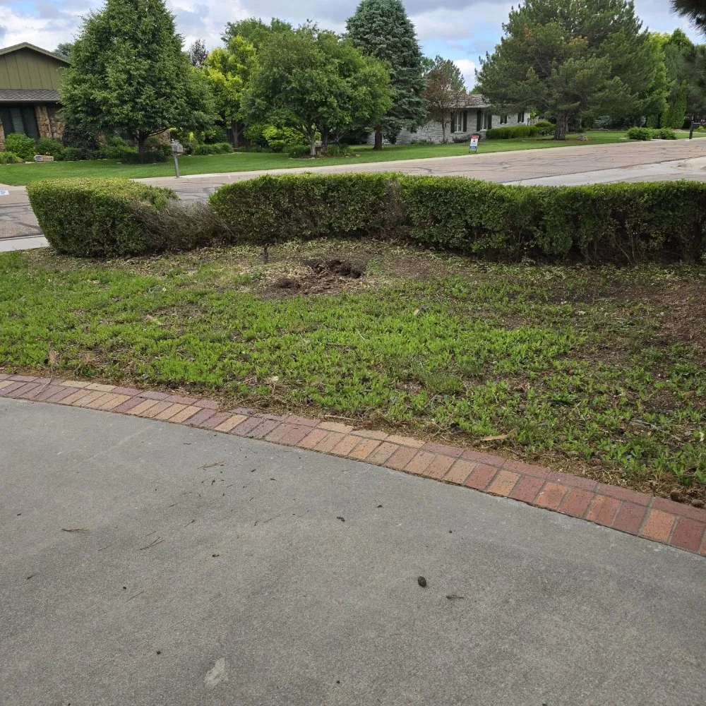 Trusted yard cleanup service in Garden City, KS - Kansas Lawns