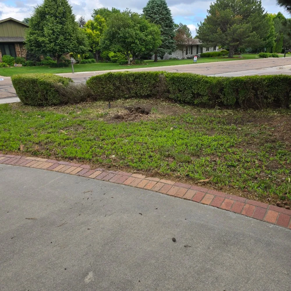 Expert yard cleanup service for beautiful yards across Garden City, KS - Kansas Lawns