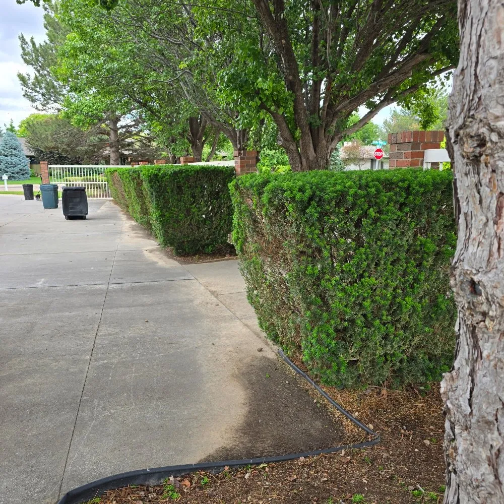 Expert lawn care service near you in Garden City, KS by Kansas Lawns