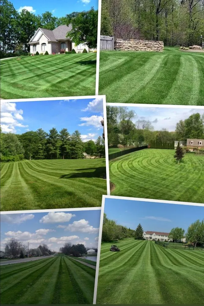 Affordable garden landscaping experts serving Eugene, OR - Kanui Soto