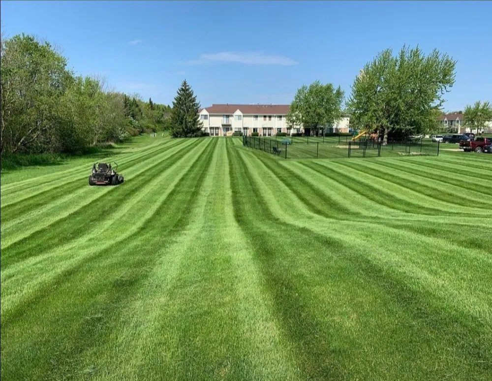 Top-rated yard cleanup service in Eugene, OR by Kanui Soto