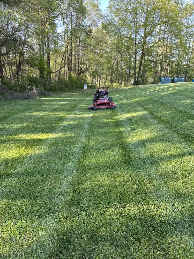 Professional yard cleanup service in Hickory, NC - Kanupp