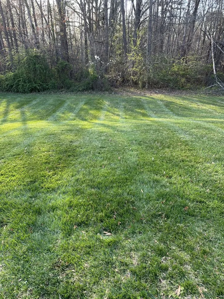 Professional landscape design in Hickory, NC - Kanupp