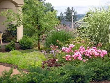 Kapa Landscape Design LLC Logo