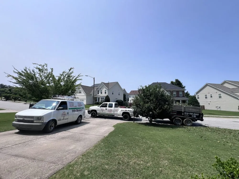 Professional garden landscaping for year-round maintenance across Sanford, NC - Kapok Tree Service