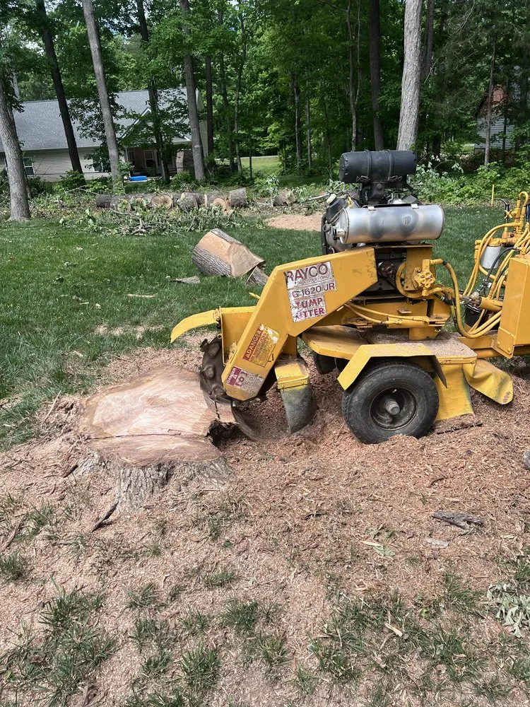 Top-rated lawn care service in Sanford, NC by Kapok Tree Service