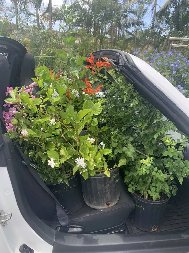 Affordable yard maintenance experts serving Kapolei, HI - Kapolei Greenz