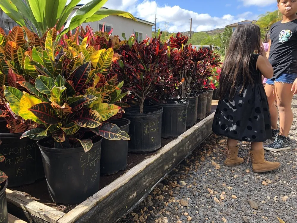 Affordable yard cleanup service experts serving Kapolei, HI - Kapolei Greenz