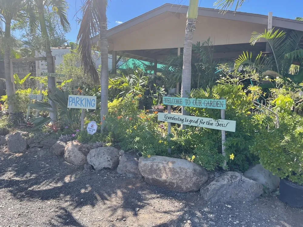 Reliable yard cleanup service for homes across Kapolei, HI - Kapolei Greenz