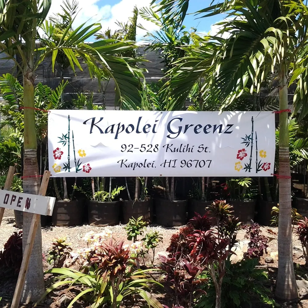 Custom yard cleanup service in Kapolei, HI by Kapolei Greenz