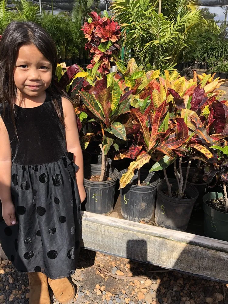 Custom landscaping services for beautiful yards in Kapolei, HI by Kapolei Greenz