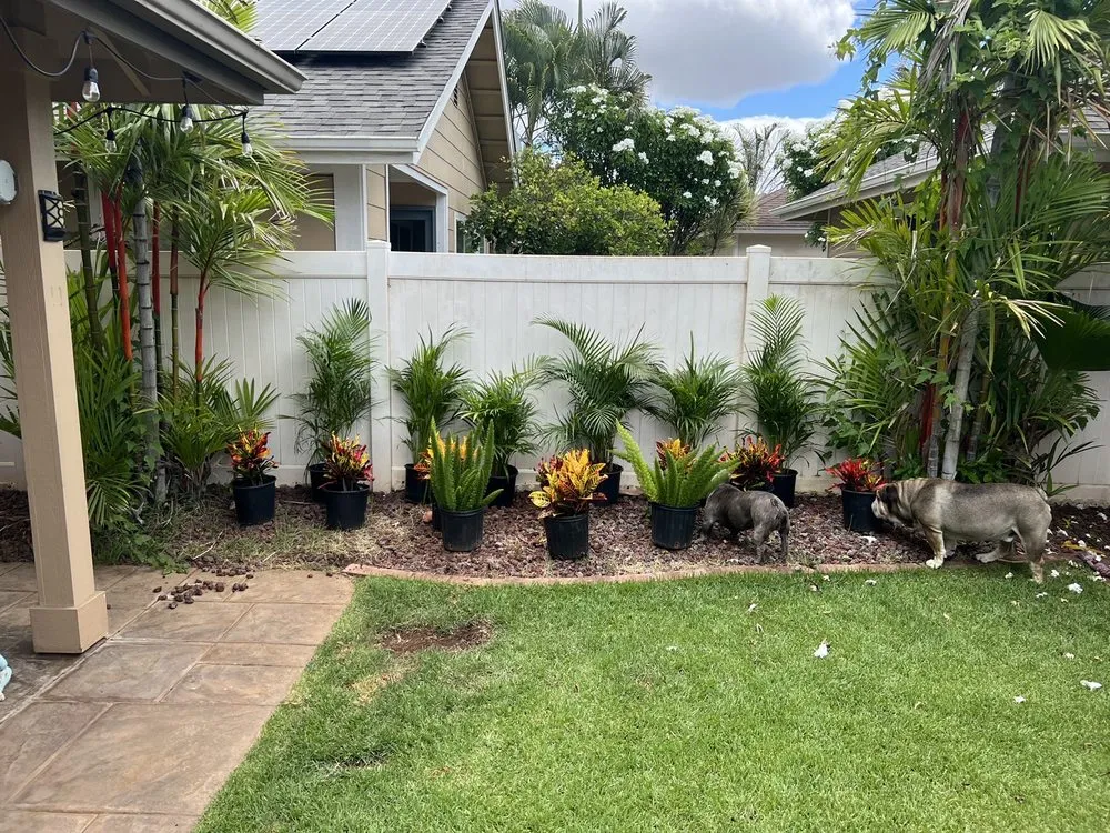 Local residential landscaping for year-round maintenance in Kapolei, HI by Kapolei Greenz