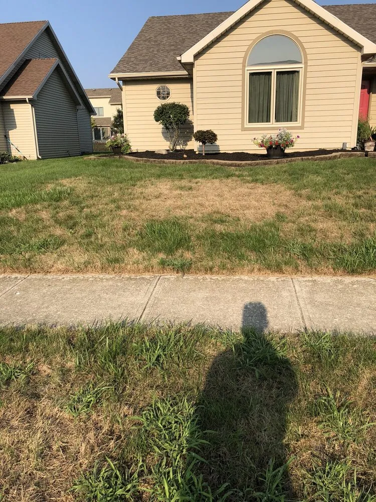 Affordable yard cleanup service experts serving Fort Wayne, IN - Kapp's Green Lawn