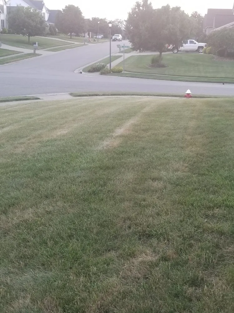 Trusted yard cleanup service for residential properties in Macedonia, OH by Kapp's Green Lawn