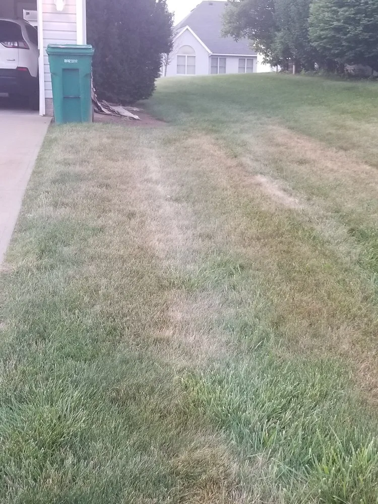 Custom yard maintenance in Macedonia, OH - Kapp's Green Lawn