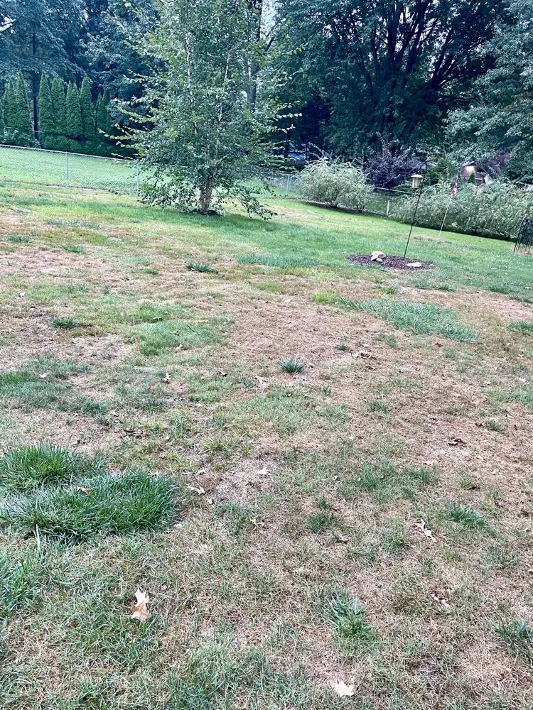 Affordable lawn care service for residential properties across Macedonia, OH - Kapp's Green Lawn