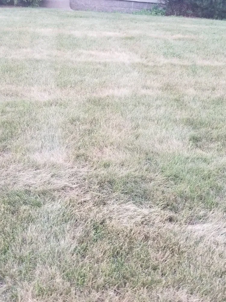 Local yard maintenance experts serving Macedonia, OH - Kapp's Green Lawn