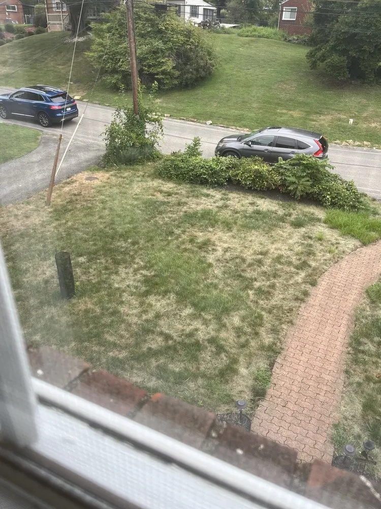 Trusted yard maintenance experts serving Pittsburgh, PA - Kapp's Green Lawn