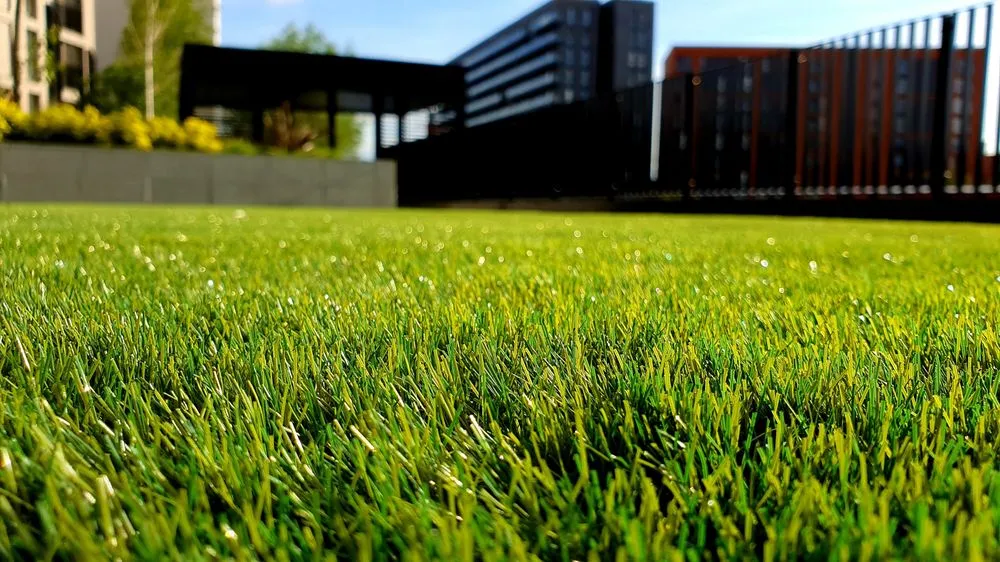 Top-rated yard cleanup service in St Louis, MO by Kapp's Green Lawn