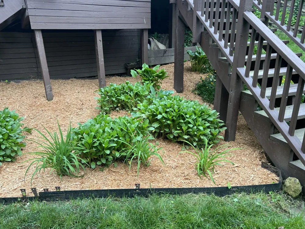 Reliable lawn care service in Dublin, OH by Kapri’s Landscape