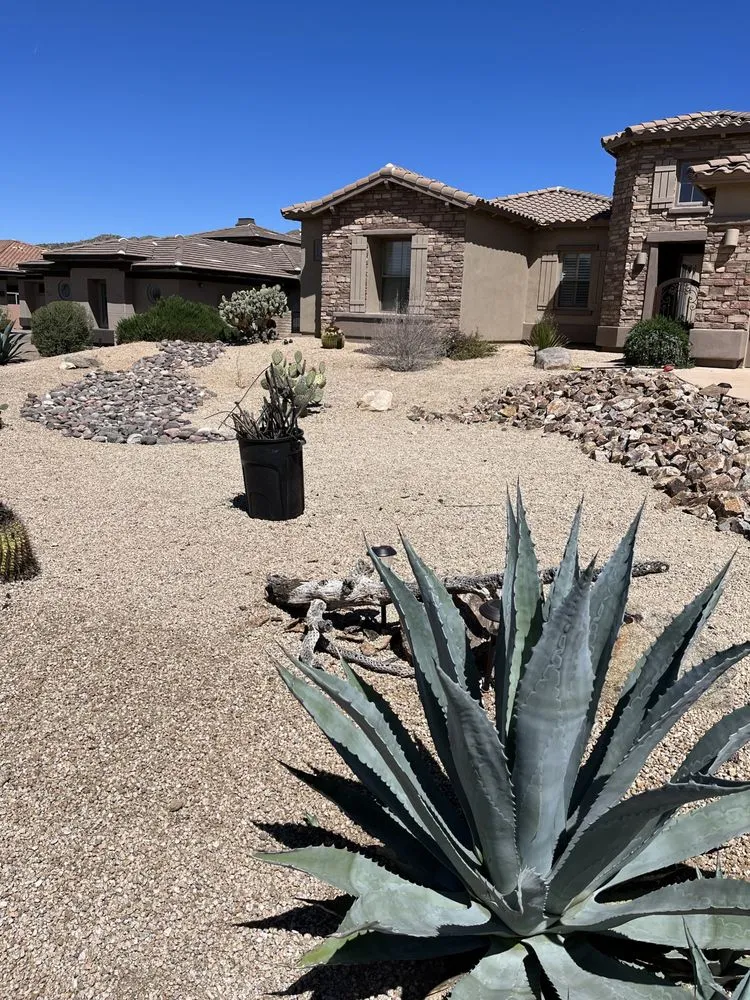 Professional landscaping services in Tucson, AZ by Kaptiian Landscaping and Maintenance
