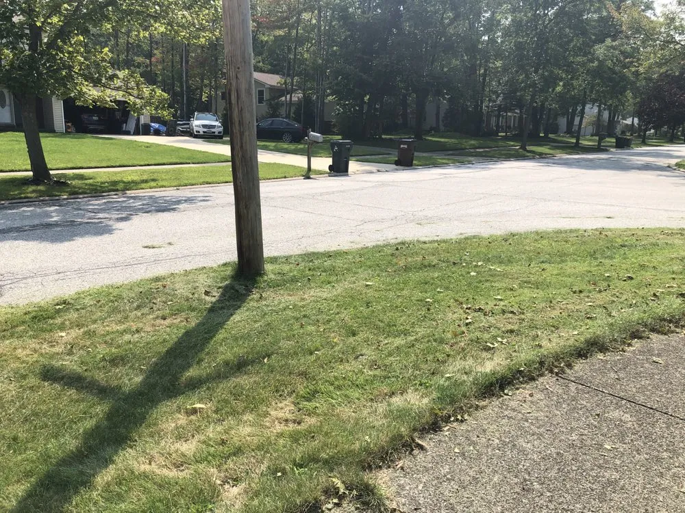 Trusted yard cleanup service in Cleveland, OH by Kapt'n Kurt's Landscaping