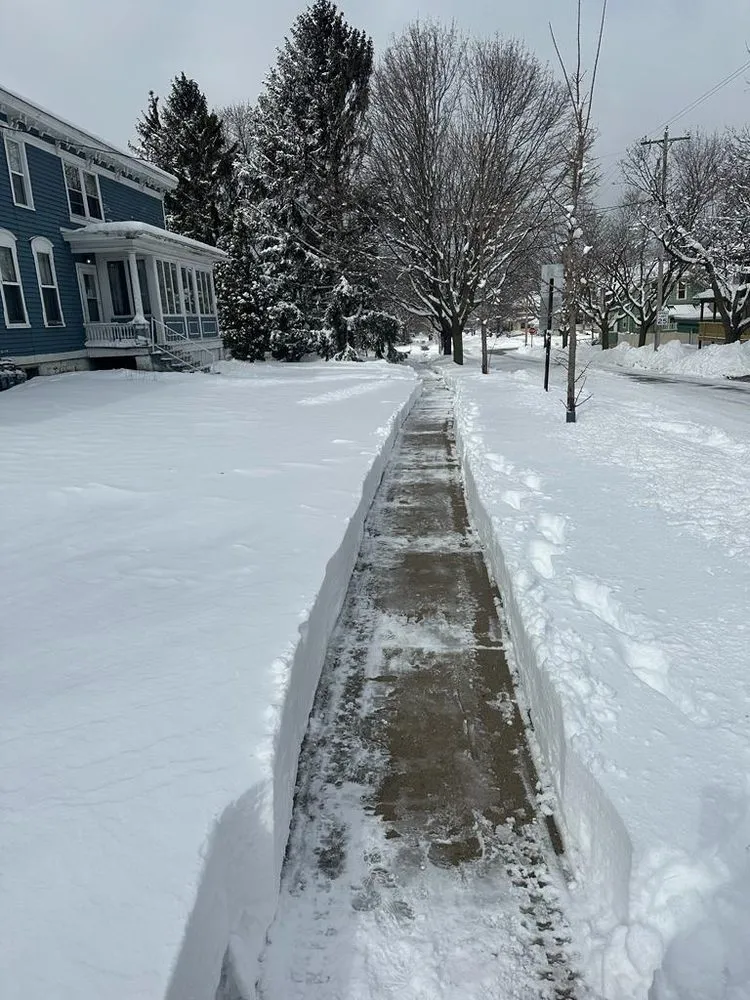 Reliable yard maintenance experts serving Allouez, WI - Karaman Tree Service & Snow Removal