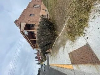 Reliable landscape design experts serving Butte, MT - KareBear Lawn Care & Services