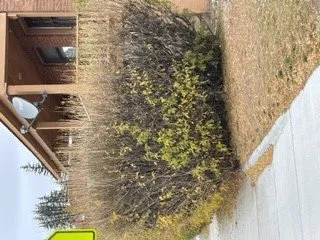 Top-rated yard maintenance experts serving Butte, MT - KareBear Lawn Care & Services