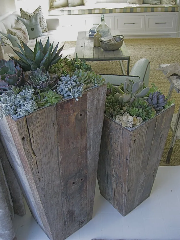 Trusted lawn care service in Newport Beach, CA - Karen Fabian Designs