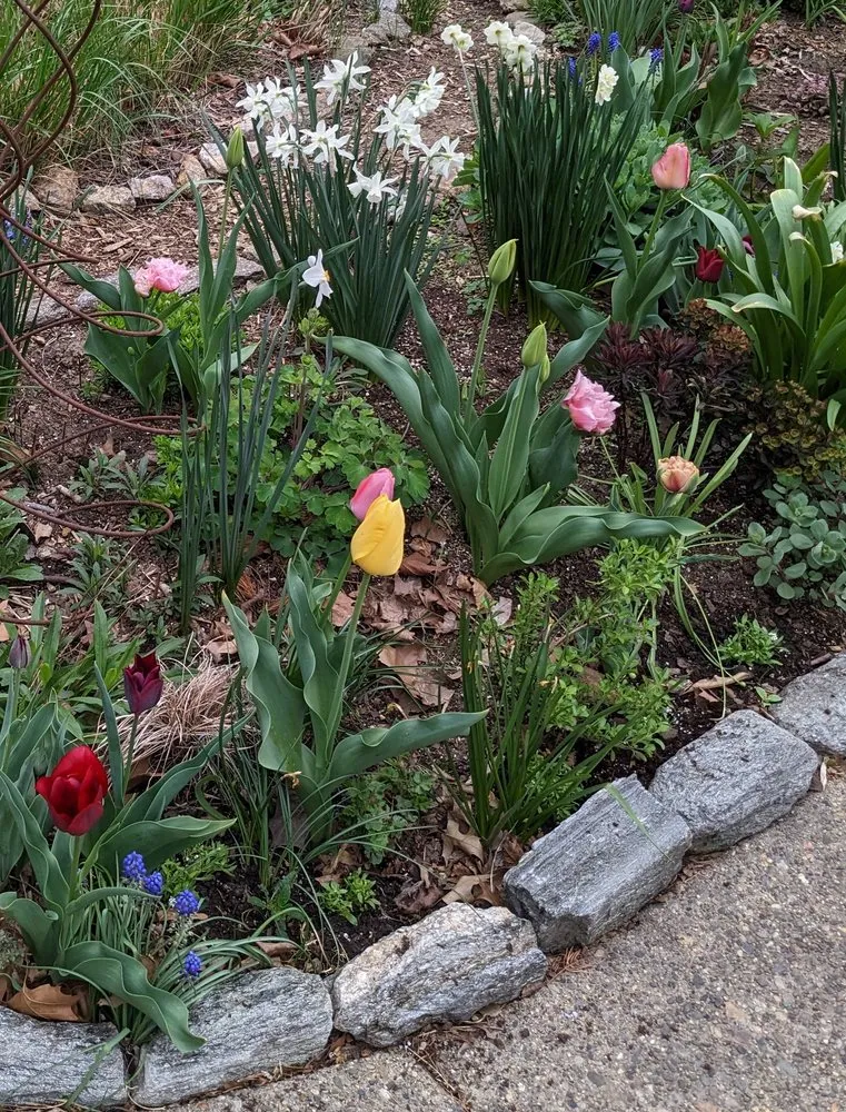 Custom landscape installation near you in Philadelphia, PA by Karena Gardens