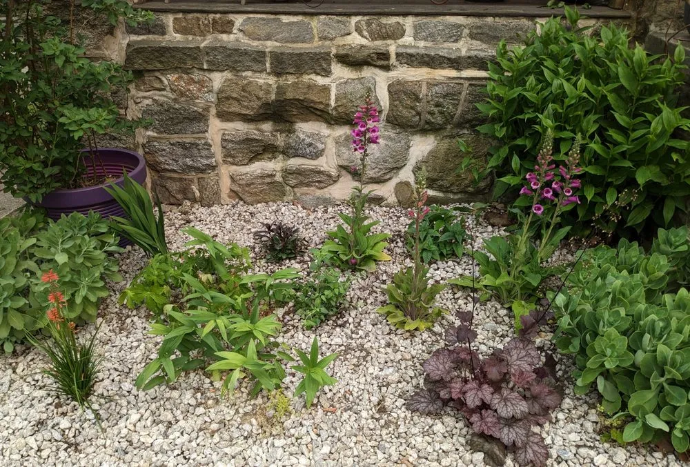 Local lawn care service in Philadelphia, PA - Karena Gardens