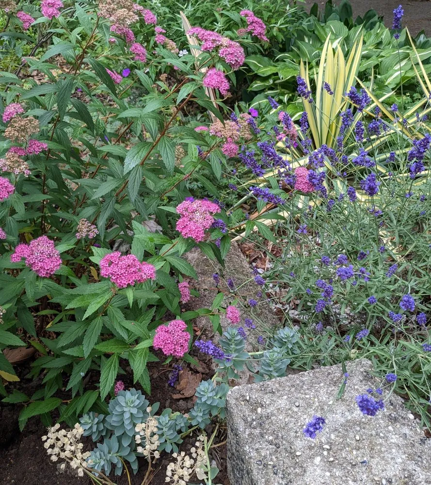 Reliable lawn mowing service with custom design across Philadelphia, PA - Karena Gardens