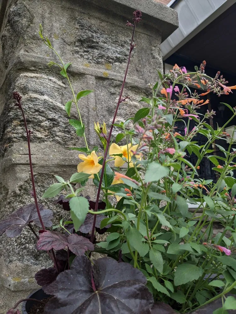 Expert landscape design near you across Philadelphia, PA - Karena Gardens