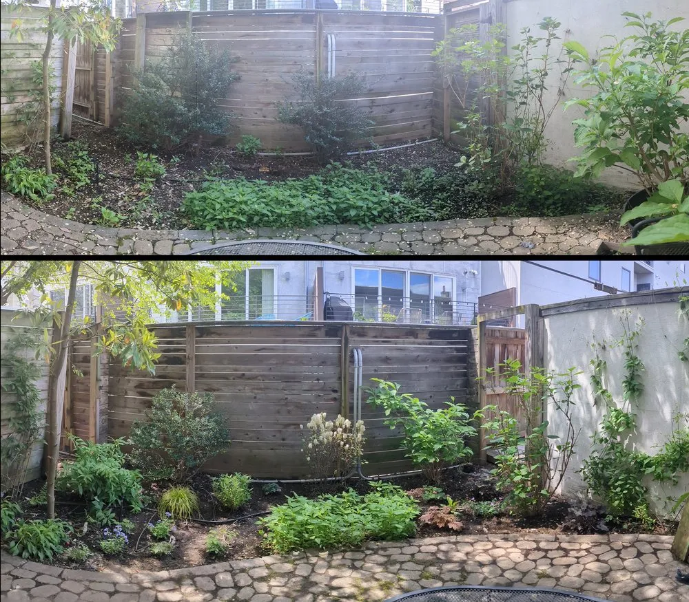 Affordable landscape design for homes in Philadelphia, PA by Karena Gardens