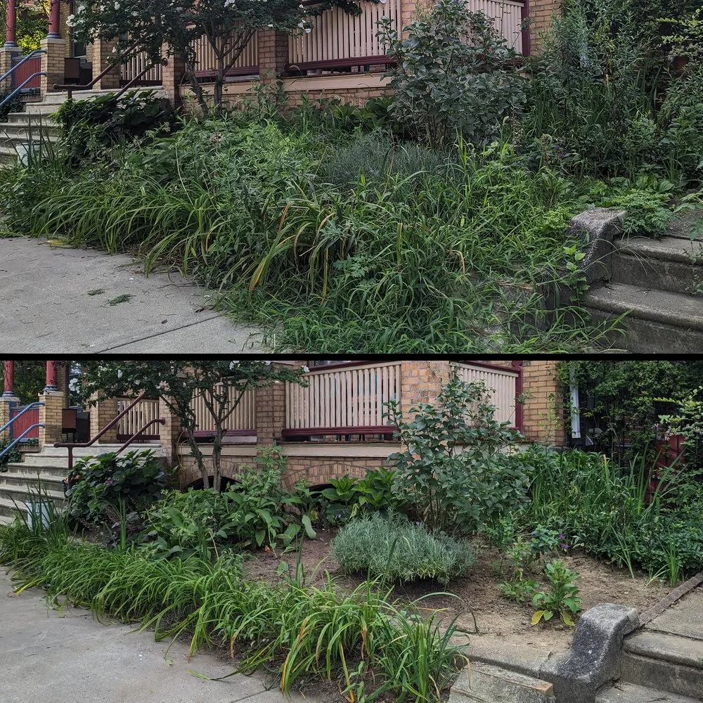 Affordable yard cleanup service near you across Philadelphia, PA - Karena Gardens