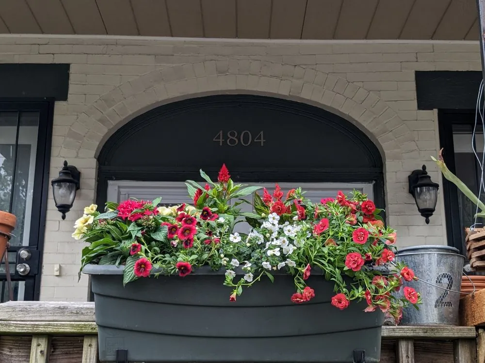 Top-rated landscape installation for year-round maintenance in Philadelphia, PA by Karena Gardens